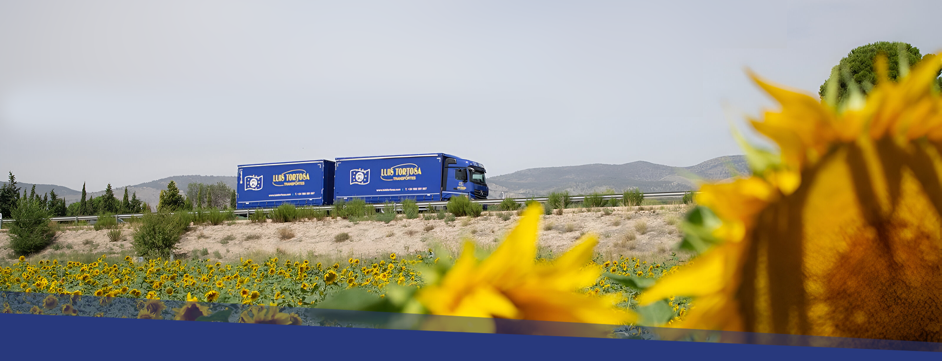Transporte terrestre nacional e internacional