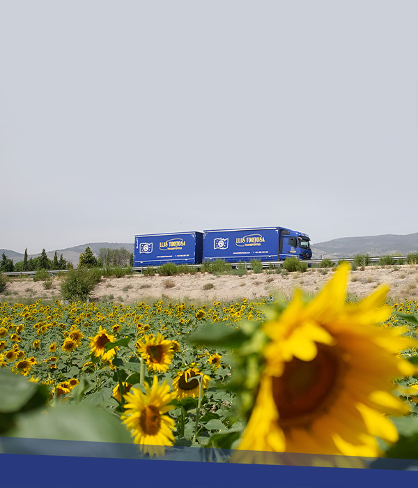 Transporte terrestre nacional e internacional