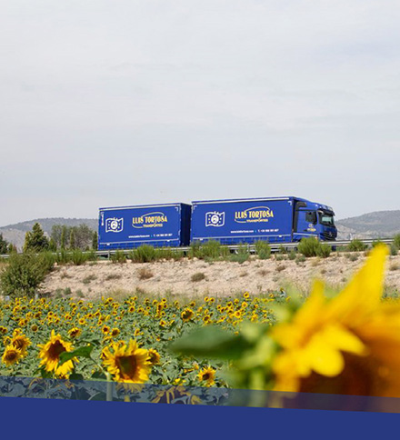 Luis Tortosa el gigante azul