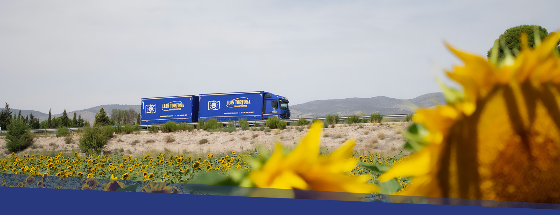 Luis Tortosa el gigante azul