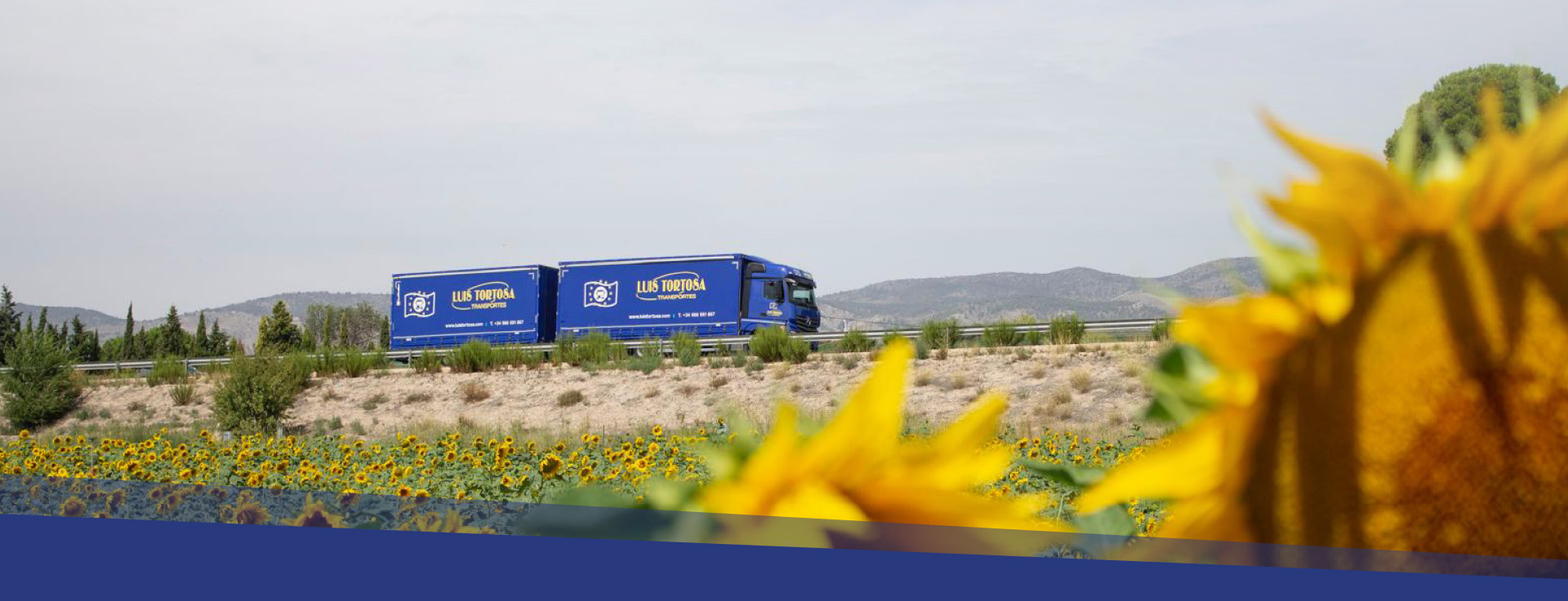 Luis Tortosa el gigante azul