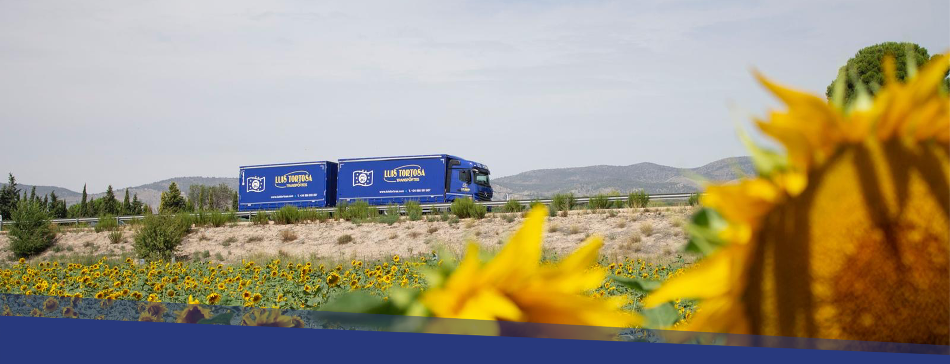 Transporte terrestre nacional e internacional